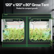 Grow Tent 10x10 S108, 24-32 Plants Use, 600D Light-proof Oxford, 120″ x 120″ x 80″, For Indoor Plants Growing