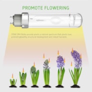 Full-Spectrum 315W Ceramic MH Light Bulb 2-Pack