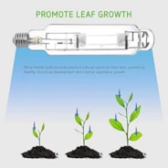 1000 Watt Metal Halide MH Grow Light Bulb Lamp