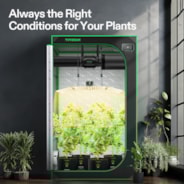 Smart Grow Tent Kit, 4 × 4ft 4-Plant System, WiFi-Integrated Automatic Grow System with Full Spectrum LED Grow Light, Efficient Ventilation System with GrowHub E42A+ Controller