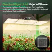 LumaLight LED Pflanzenlampe – Vollspektrum Pflanzenlampe, 200W, Smart Dimmbar & High-PPFD für Indoor-Pflanzen, Setzlinge, Gemüse & Blüte