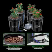 18,9L DWC Hydroponik-System Set (4 Eimer, Schwarz)