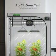 Gray Grow Tent 4x2 G425, 2-4 Plants Use, Large Front Window, 48″ x 24″ x 60″, For Indoor Plants Growing