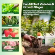 Nutrients Base A & B Bundle, Liquid Fertilizer Supports Vegetative and Flowering Stage, 1 Gallon Each