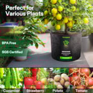 50 Gallon Grow Bags 1-Pack Black Thickened Nonwoven Fabric Pots with Handles