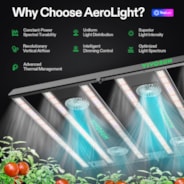 Aerolight Barra 550W