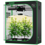 Smart Grow Tent Kit, 4 × 2ft 2-Plant System, WiFi-Integrated Automatic Grow System with Full Spectrum LED Grow Light, Efficient Ventilation System with GrowHub E42A+ Controller