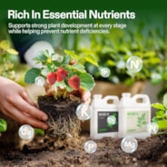 Nutrients Base A & B Bundle, Liquid Fertilizer Supports Vegetative and Flowering Stage