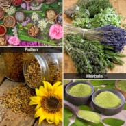 Herb Trimming Tray for Harvest, Blue