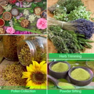 2-in-1 Trimming Tray 20" x 13", with 150 Micron Mesh Sifter, Bottom Harvest Bin, Brush and Magnifying Card, Green