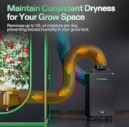 AeroDrain D12 Intelligent Environmental Dehumidifier, up to 12L/day, 2L Water Tank, with Temperature & Humidity Sensor Probe