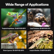 6 x 8 Inch Reptile Heat Mat and Digital Thermostat Combo