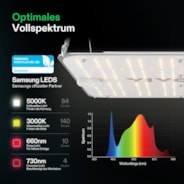 VS1000E Full Spectrum LED Grow Light Board 100W, High PPFD & Low Heat, 2 x 2 Ft. Coverage