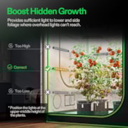 LumaRay Side Lights (8-Bar), Full Spectrum LED Bar Lights, SGS Compatible