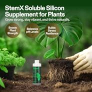 StemX (0-0-2) Silica for Plants, Soluble Silicon Plant Supplement Fertilizer, Liquid Nutrient Solution for Strong Stems, Healthy Leaves, Boost Plant Resilience & pH Balance, 8 oz
