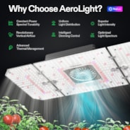 Aerolight 240 W