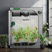 Gray Grow Tent 2x4 G425, 2-4 Plants Use, High Reflective Mylar, 24″ x 48″ x 60″, For Indoor Plants Growing