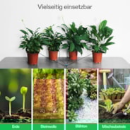 FlexFeed Automatisches Tropfbewässerungsset, All-in-One Profi-Anbau-Set