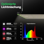 VSFD6500 Vollspektrum LED Pflanzenlampe Lichtbalken 650W, abnehmbares Design mit 6 Dimmoptionen, 120 x 120 cm Abdeckfläche