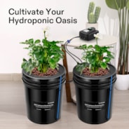 5 Gallon DWC Hydroponic System Kit (2 Bucket, Black)