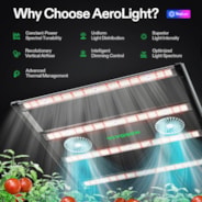 Aerolight Barre 350 W