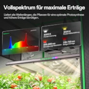 Smart Growbox Komplettset 100 x 100 x 180 cm, Komplettes Grow-Set mit GrowHub E42A+, 1680D Mylar Growzelt, Vollspektrum LED Pflanzenlampe und effizientem Belüftungssystem