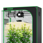 Starter Grow Tent Kit, 4 × 2ft 2-Plant System, WiFi-Controlled Grow System with Full Spectrum LED Grow Light, Automatic Ventilation, GrowHub Outlet A22 with Temperature and Humidity Sensor