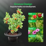5 Gallon DWC Hydroponic System Kit (4 Bucket, Black)