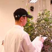 Vivosun Baseball Cap, Embroidery Design