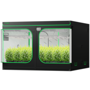 Grow Tent 10x10 S108, High Reflective Mylar with 1680D Oxford Canvas & Heavy-Duty Metal Support 120"x120"x80"