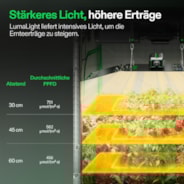 LumaLight LED Pflanzenlampe – Vollspektrum Pflanzenlampe, 200W, Smart Dimmbar & High-PPFD für Indoor-Pflanzen, Setzlinge, Gemüse & Blüte