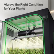 Smart Grow Tent Kit 5x5 Complete Indoor Grow System with Smart Controller, Full-Spectrum LED Grow Light & Ventilation Automation System, 1680D Mylar Tent 60"x60"x80"