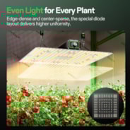 LumaLight LED Grow Light, Full Spectrum Plant Light, 150W Smart Dimmable & High PPFD for Indoor Plants Seedling Vegetables Bloom