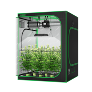 Standard Growbox Komplettset GIY-55 150 x 150 x 200 cm, Komplettsystem für 6 Pflanzen, mit 400W VS4000 LED Pflanzenlampe und 15 cm Abluftset