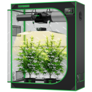 VIVOSUN Smart Growbox Komplettset, 120×60 cm – 2-Pflanzen-System
Intelligentes, vollautomatisches Grow-Setup mit WLAN-Steuerung, integriertem GrowHub E42A+ Controller und hocheffizientem Full-Spectrum LED Grow Light