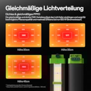 VSFD6500 Vollspektrum LED Pflanzenlampe Lichtbalken 650W, abnehmbares Design mit 6 Dimmoptionen, 120 x 120 cm Abdeckfläche