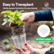 40 Packs 3/4/5/6 Inch Clear Nursery Pots with Drainage Holes