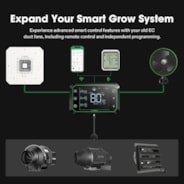 SGS Convertor, Type C to MOLEX & AUX Adapter Dongle, Conversion Cable