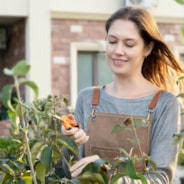 1-Pack Gardening Hand Pruner Pruning Shear