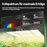 Smart Growbox Komplettset 150 x 80 x 200 cm, Komplettsystem für 3 Pflanzen, mit WiFi E42A+ Controller, 200W AeroLight Wing SE LED Pflanzenlampe und 15 cm AeroZesh G6 Abluftset