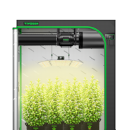 Smart Growbox Komplettset 150 x 80 x 200 cm, Komplettsystem für 3 Pflanzen, mit WiFi E42A+ Controller, 200W AeroLight Wing SE LED Pflanzenlampe und 15 cm AeroZesh G6 Abluftset