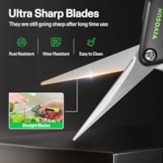 Gardening Hand Pruner Pruning Shear with Straight Stainless Steel Blades, Black-and-Green