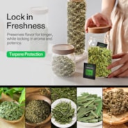 62% RH Two-Way Humidity Control Packs, Size 4 g, 10 Packs for Storing 1/2 oz, Moisture Balancer with RH Indicator Card for Food & Herb Storage