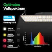 VS2000 Full Spectrum LED Grow Light Board 200W, High PPFD & Low Heat, 3 x 3 Ft. Coverage