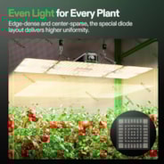 LumaLight LED Grow Light, Full Spectrum Plant Light, 200W Smart Dimmable & High PPFD for Indoor Plants Seedling Vegetables Bloom