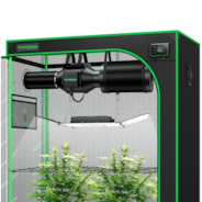 Smart Growbox Komplettset GIY-SGS-42 120 x 60 x 150 cm, Komplettsystem für 2 Pflanzen, mit WiFi E42A Controller, 200W AeroLight Wing SE LED Pflanzenlampe und 10 cm AeroZesh G4 Abluftset