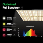 VS3000 Full Spectrum LED Grow Light Board 300W, High PPFD & Low Heat, 3 x 3 Ft. Coverage