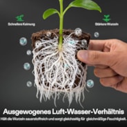 FlexFeed DWC Hydroponices System Seed Rooter, 4-Pack Seed Starter Plugs, Compatible with VGrow DWC System 