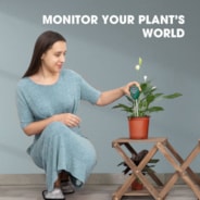 Digital pH Meter, 3-in-1 TDS EC and Temperature Meter, Plant Soil Moisture Tester Combo for Home, Garden and Hydroponics