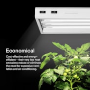 T5 HO Fluorescent Grow Light 3000K, Gentle on Foliage, 4FT 5 Pack